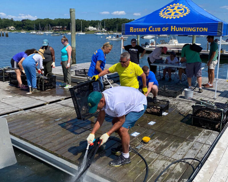 REACH The Oyster Reef Project Environmental Action Coalition of